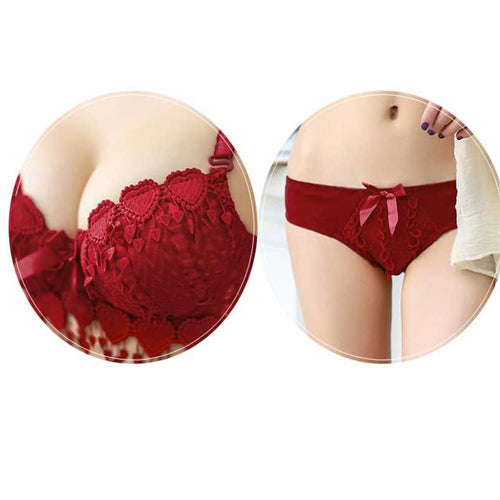 VSSC Bra & Panty Set Embroidered Maroon Lingerie Set - Marron