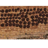 Pure Gobar Ka Upla (Cow Dung) for Hawan & Pujan 10pcs